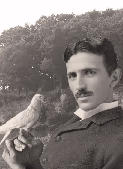 Nikola Tesla와 비둘기